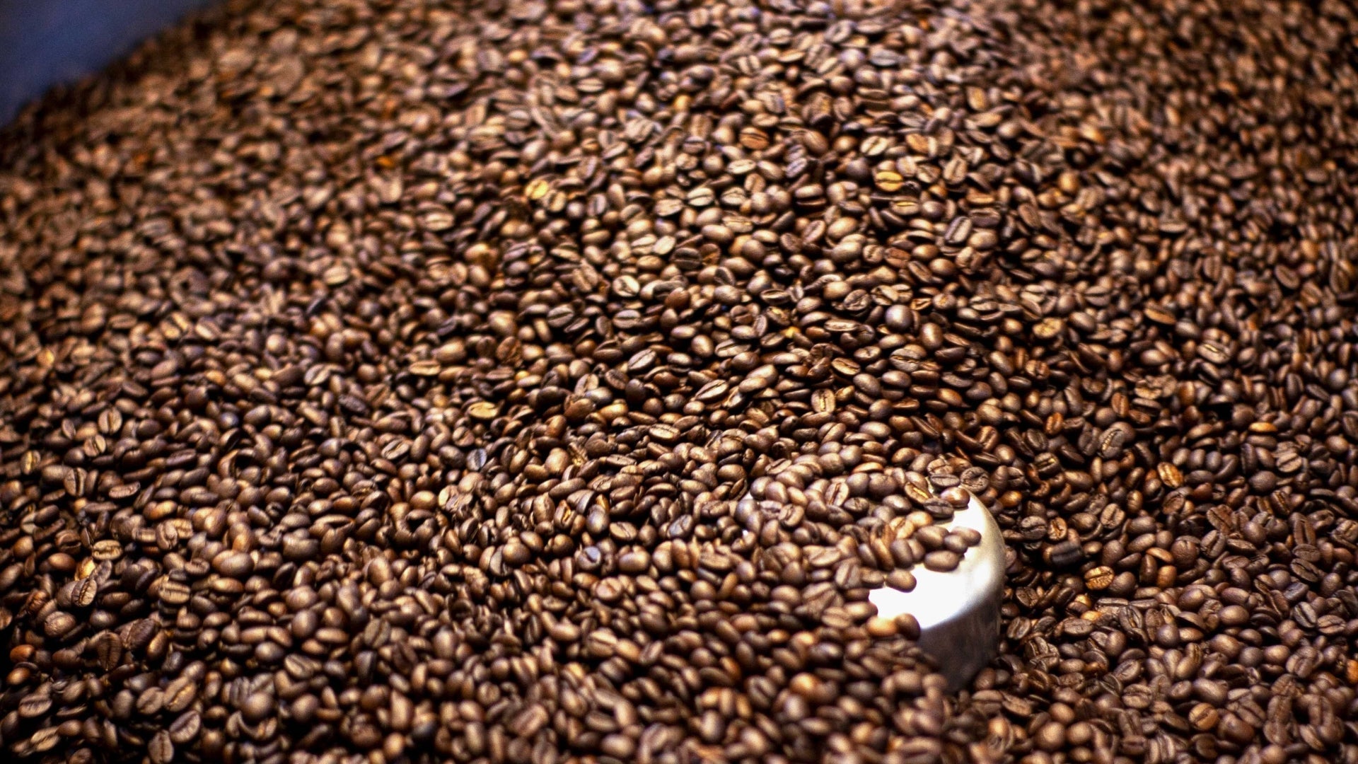 10 tendances actuelles dans le monde du café : quoi de neuf en 2026? - Café Barista