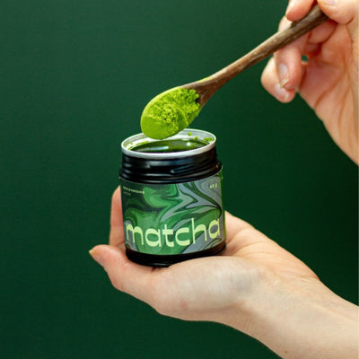Matcha Barista - Accessoires - Camellia Sinensis
